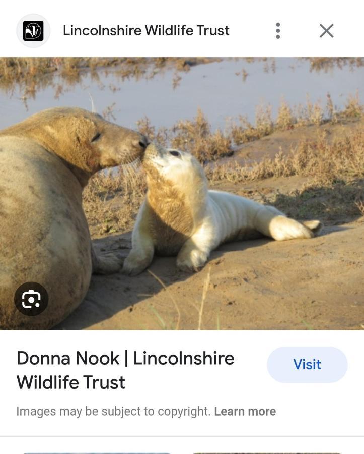 فيلا The Annex Theddlethorpe Lincolnshire المظهر الخارجي الصورة